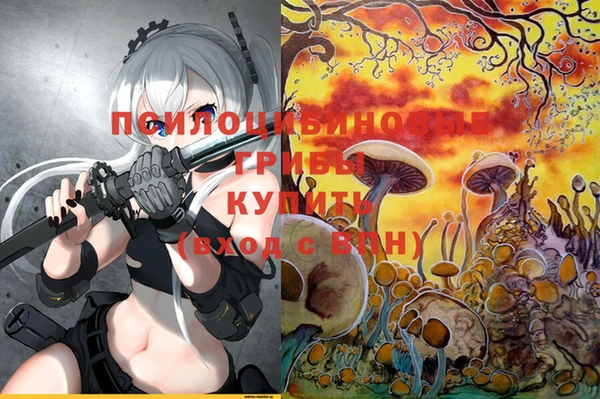 метадон Абаза