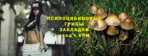 метадон Абаза