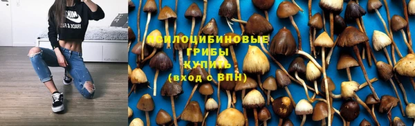 а пвп мука Абдулино